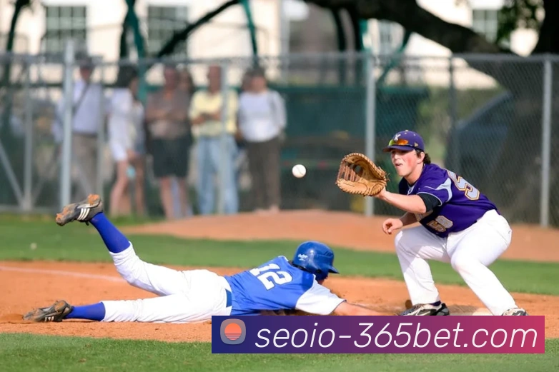 App Interface Preview